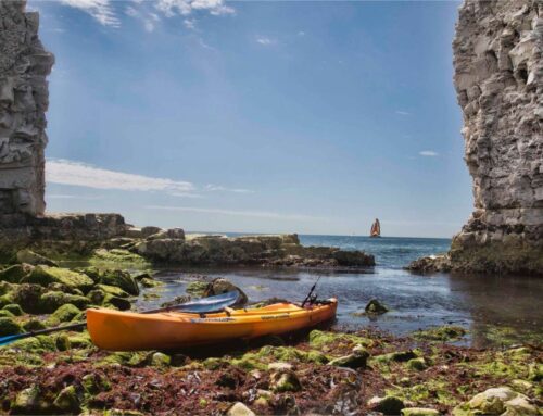 Jurassic Coast – Kayaking around picturesque Dorset